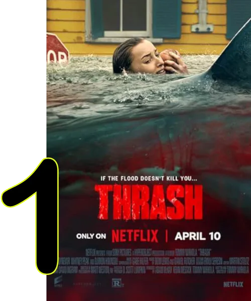 Thrash film artwork showing a flooded neighbourhood